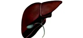tratamentul