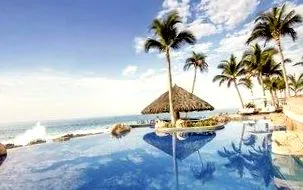 mexic palmilla