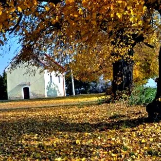 pial site-ul