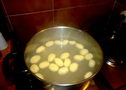 vegan