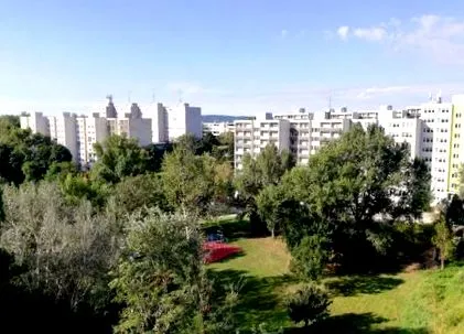 același timp pandemia