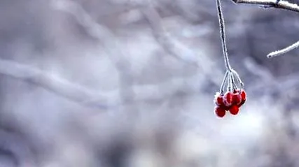 winter