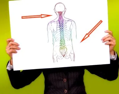 coloana vertebrală care sunt