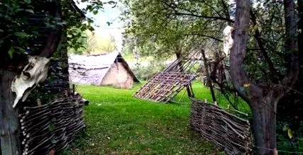 mokrý