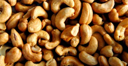 garantat