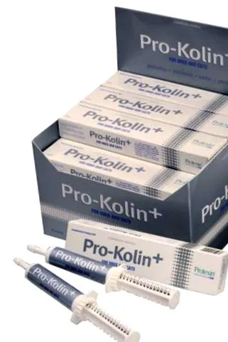 кучета protexin