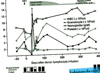 β-talasemiei