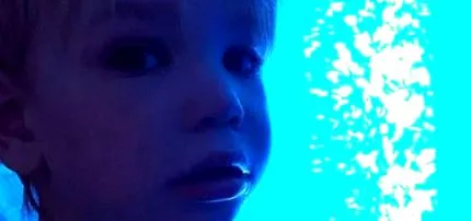 acest centru