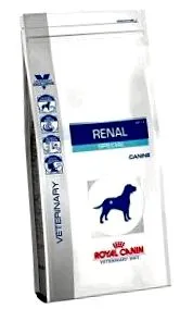 canine
