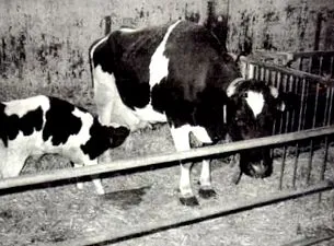 agricultură