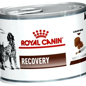 veterinary royal