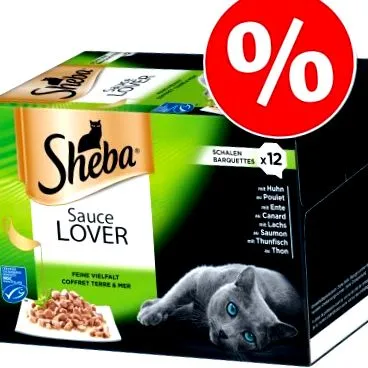 sheba sheba