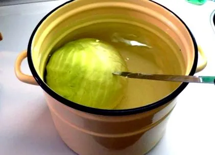 fotorecept
