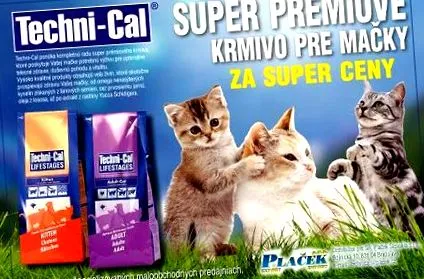 pentru pisici