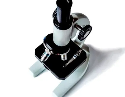 dermatovenerologia slovacă