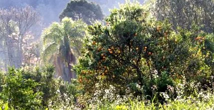 prezentare biodiversității