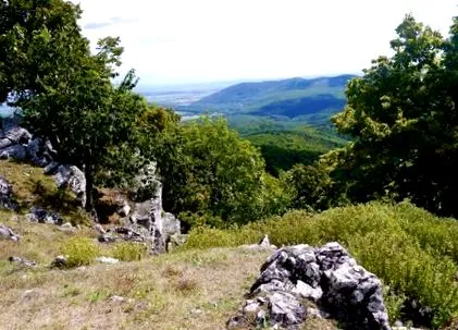 бебе