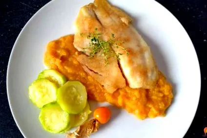 legume legume