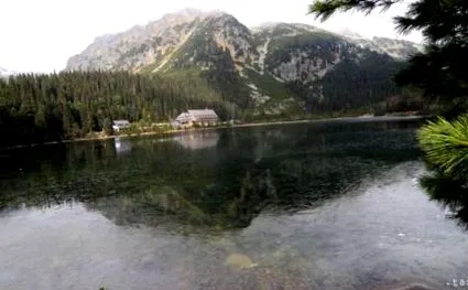 украинските