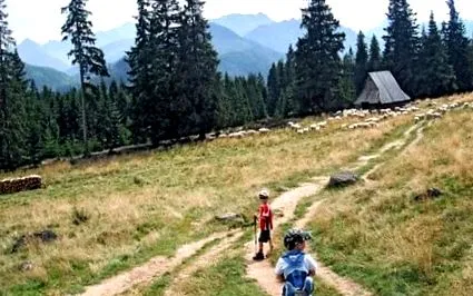 поход szyja