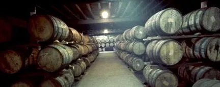 whisky cinci
