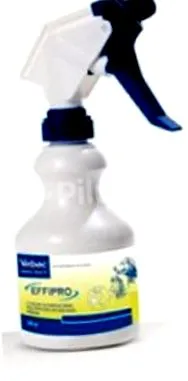 câini pisici