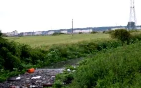 büdös