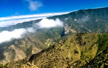 direcția Gomera pagina