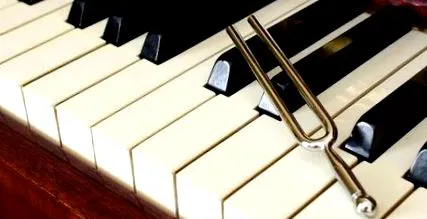 instrument muzical