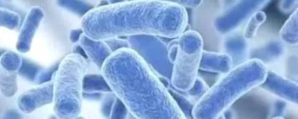 simptome sunt ureaplasmosis