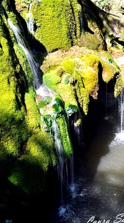 főzési sava-val