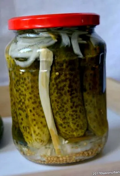 оцті болгарський