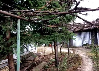 продава продава