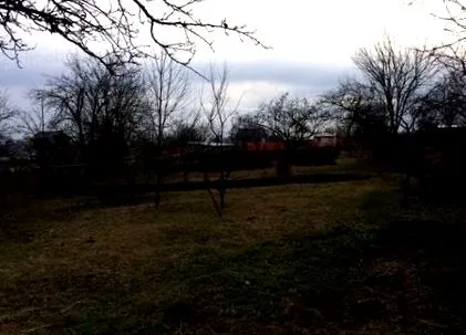 куќа куќа