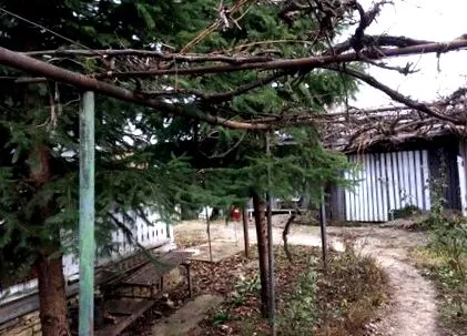 продажба продава