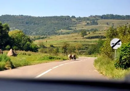 főzési főzési