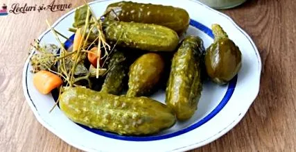 читања
