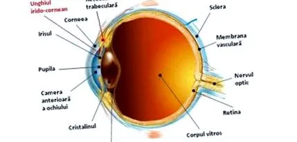 diabetes mellitus