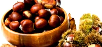 gesztenye