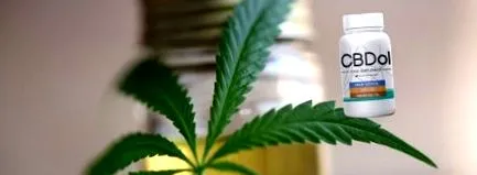 цена