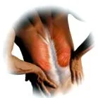portál polymyositis