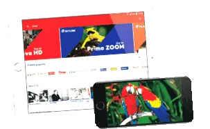 televizorul încercați