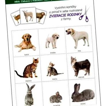 animale Alăturați-vă celor