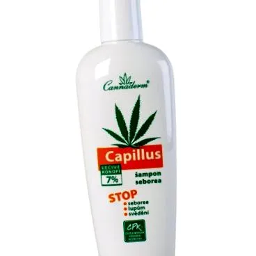 căutați