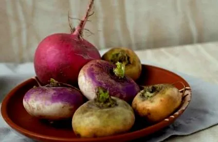 ingrediente vechile