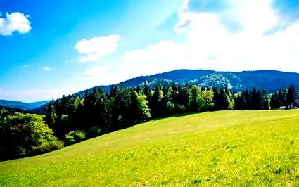 iarnă