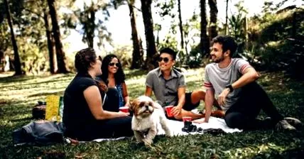 picnic luați
