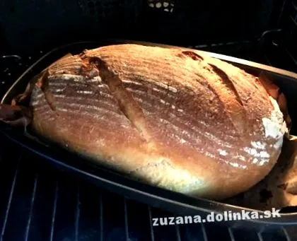 drojdie micile