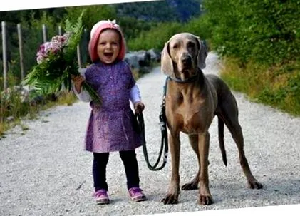 cunoștință frumos