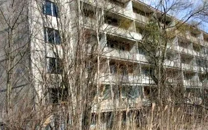 accidentului